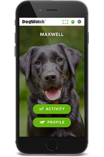 DogWatch of So. Maine, North Yarmouth, Maine | SmartFence WebApp Image